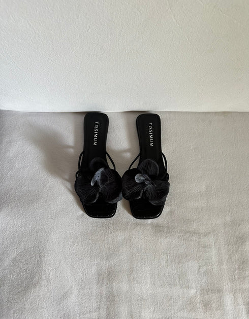 Orquídea Sandal Black - Tissimum