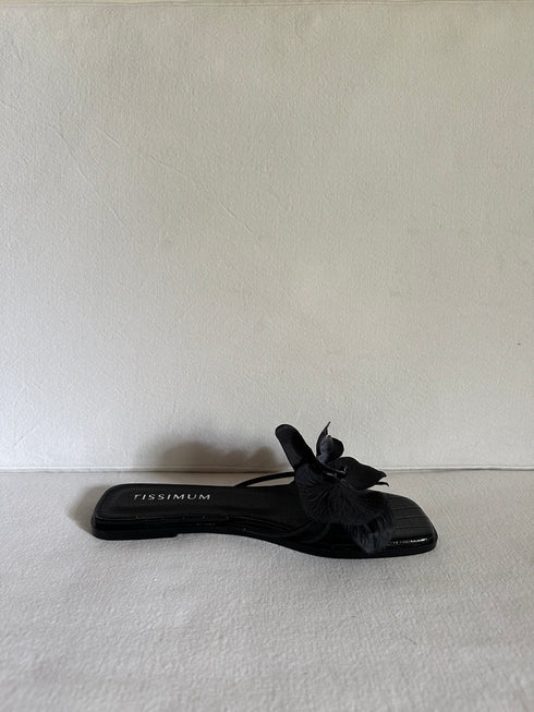 Orquídea Sandal Black - Tissimum